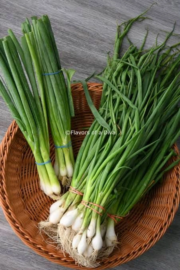 Spring Onions 