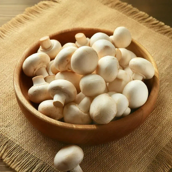 Mushroom 