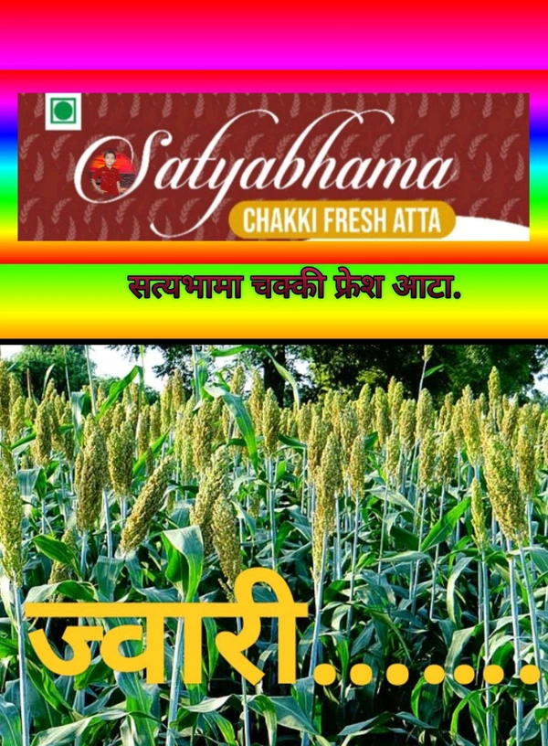 SORGHUM ATTA (ज्वारी पीठ ) - 1 Kgs 8 x 12, Baja White