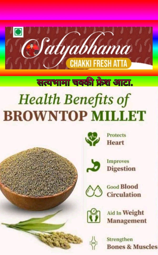 BROWNTOP MILLET  (हरी कंगणी ) - 1 Kgs 8 X 12