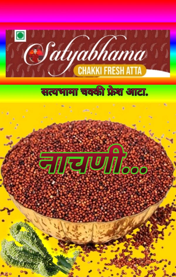 Ragi (नाचणी) - 1 Kgs 8 X 12