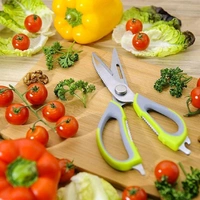 10 In 1 Multi-Purpose Kitchen Vegetable Cutting Scissor