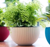 Virajsanchi Hanging Pots With Metal Chain 5 Pieces