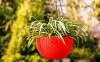 Virajsanchi Hanging Pots With Metal Chain 5 Pieces