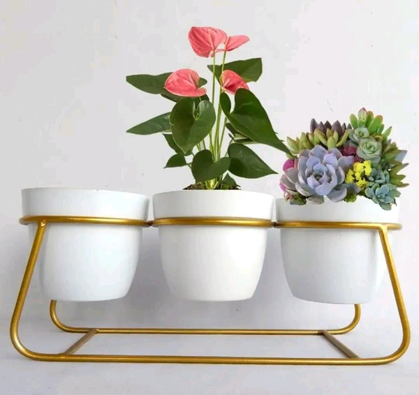 GreyFOX || 3 Pot Metal Planter for Garden  Home Deacute;cor (White)