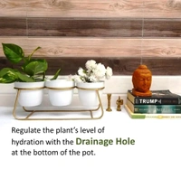 GreyFOX || 3 Pot Metal Planter for Garden  Home Deacute;cor (White)