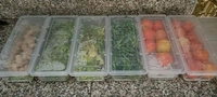 Fridge Storage Conatiner Set of 6 Freezer Container 1500ml