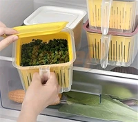 Fridge Containers For kitchen Storage With Removable Plastic Drain Basket (Pack Of 4)