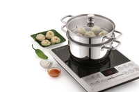 2 Tier Stainless Steel Steamer With Glass Lead 