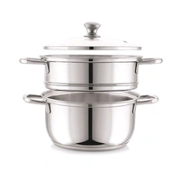 2 Tier Stainless Steel Steamer With Glass Lead 