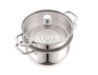 2 Tier Stainless Steel Steamer With Glass Lead 