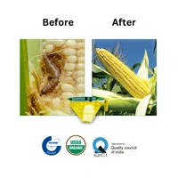 Chipku Fall Army Worm (Maize)