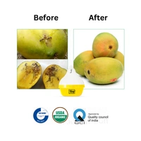 Chipku Fruit fly (All Fruit Crops)