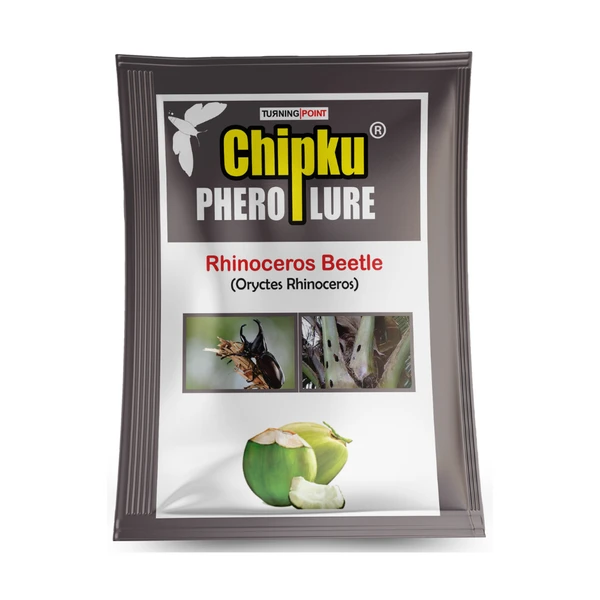 Chipku Lure : Oryctes Rhinoceros (10 Pcs)