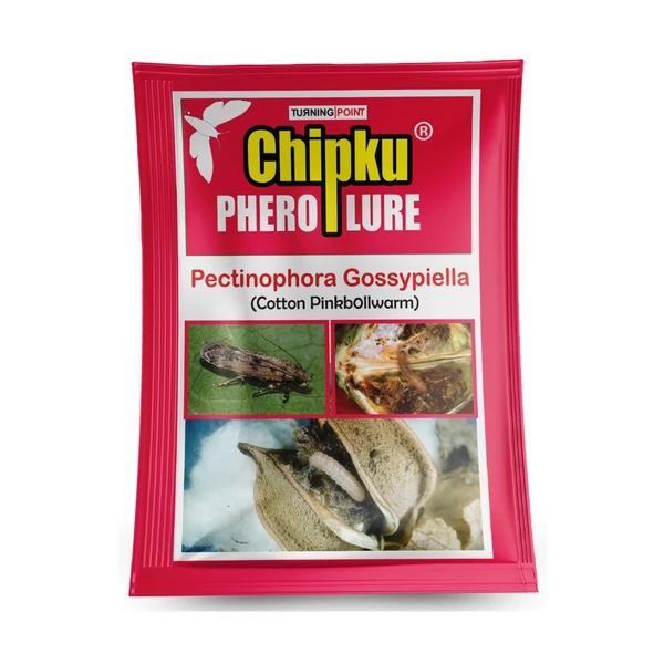 Chipku Lure : Pectinophera Gossypielia (10 Pcs)