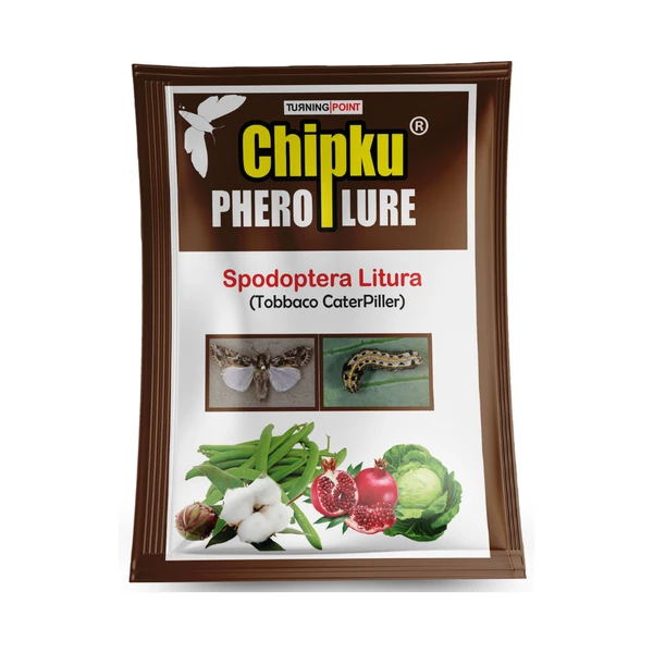 Chipku Lure : Spodoptera Litura (10 Pcs)