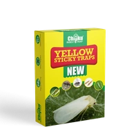 Chipku Sticky Traps - A5, Yellow, Pack of 25
