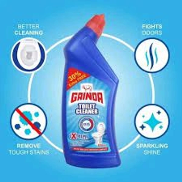 Gainda Toilet Cleaner 500 Ml