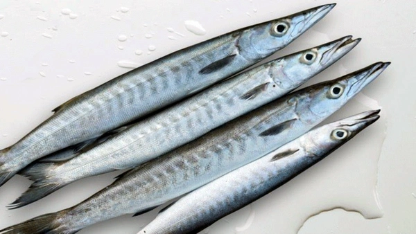 Ooli1 Kg