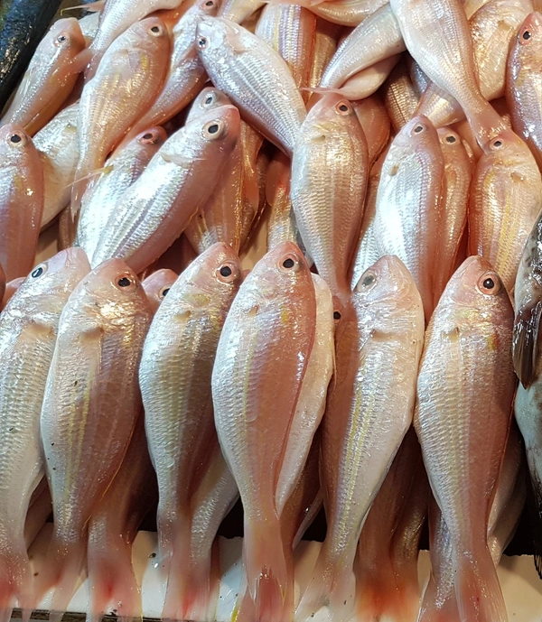 Semmeen 1 Kg