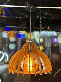 Lamp Shades - Web Orange