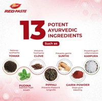 DABUR  Dabur Red Paste | Treats Bad Breath | Cavity Protection | Plaque Removal | 13 Herbs Toothpaste (100g)