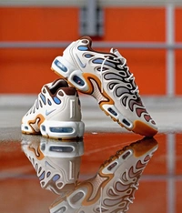 NIKE Nike Air Max Plus TN Drift Phantom Cacao🔥