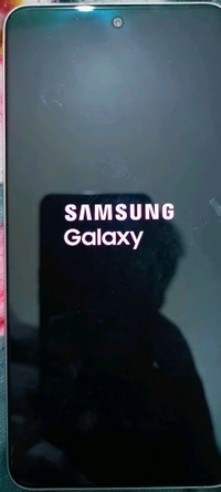 Samsung Galaxy S21fe - Silver Chalice, Rk- O00