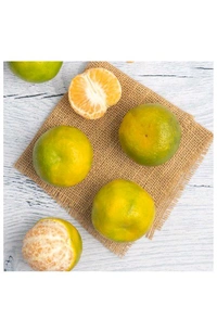 Orange Nagpur -1kg