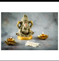 Sri Rudra White Cotton Long Bathi (100 pcs)