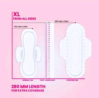 everteen XL Sanitary Pads with Neem, Safflower, Cottony-Soft Top Layer for Women - 1 Packs (20 Pads)