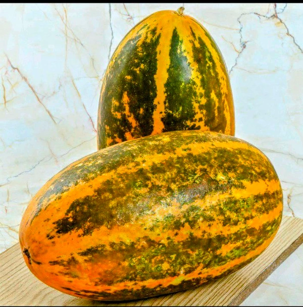 Cucumber Madras { Dosakaya}-1kg