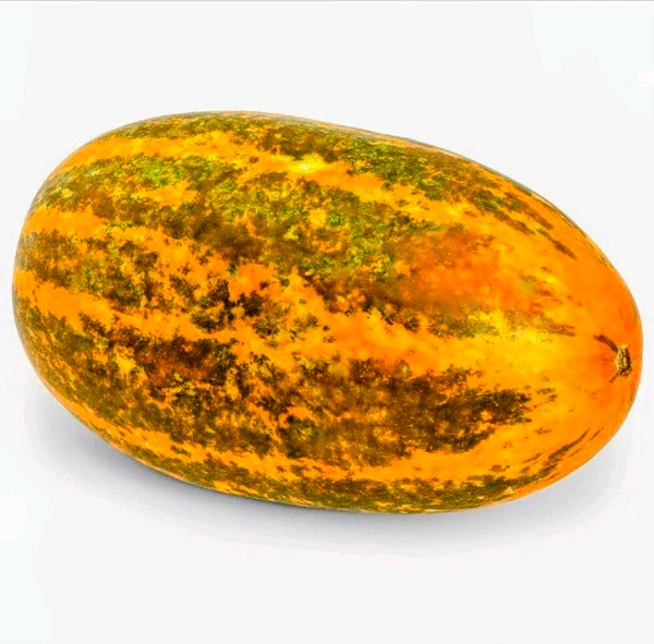 Cucumber Madras { Dosakaya}-1kg