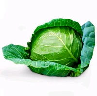 Cabbage 1 Piece (Approx 600g-1000g)