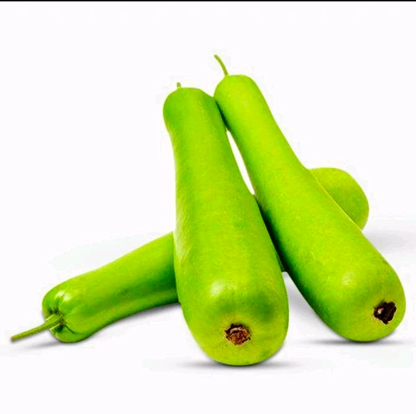 Sorakaya (Bottle Gourd) 1 Piece (Approx 500g-700g)