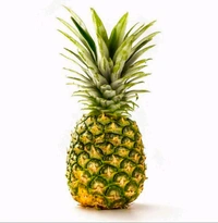 Pineapple 1 Piece (Approx 650g-1200g)