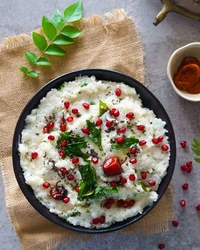 Curd Rice