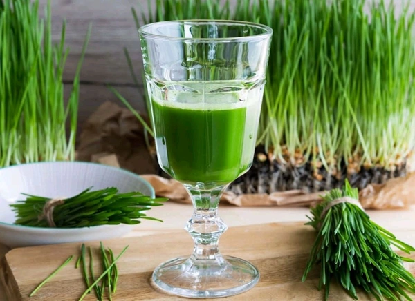 Wheat Grass Juice
