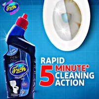 Fresh Touch Toilet Cleaner 