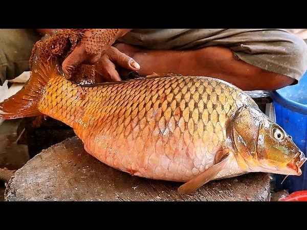 బంగారు తీగ (Bangaru Teega )-1 Kg