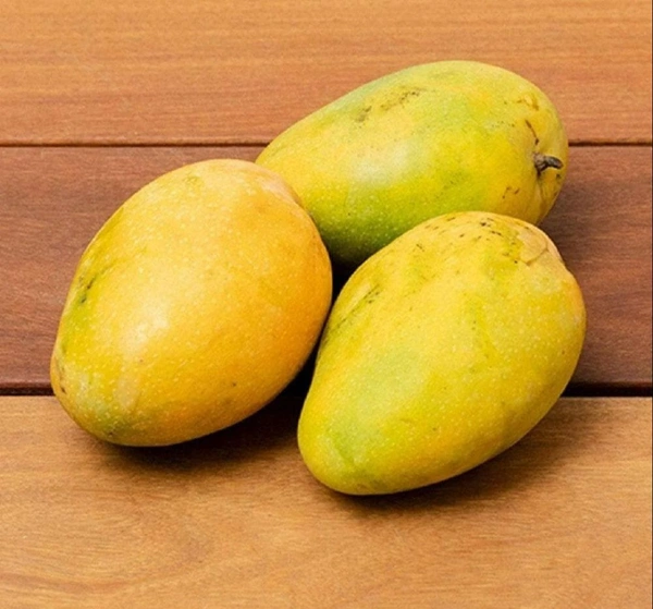 Mango Banganapalli -1 Kg
