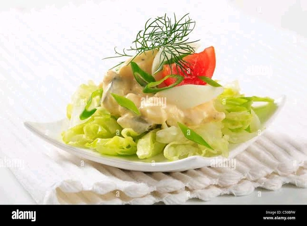 Platinum  Egg Mayonnaise Salad