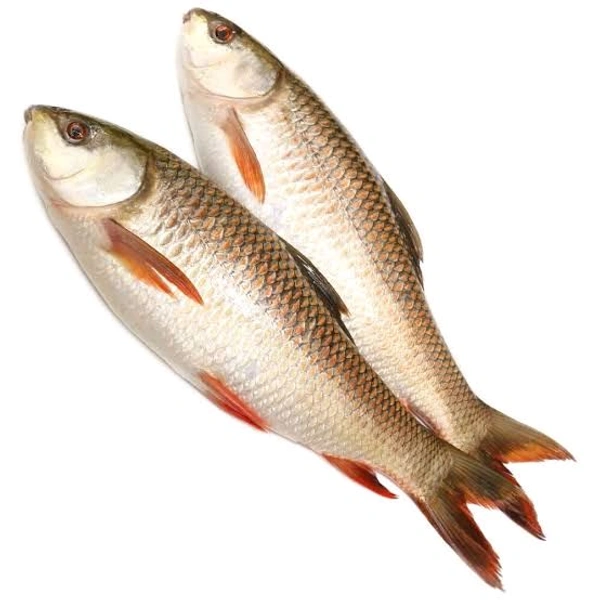 Rohu Local(Small) - 500gm