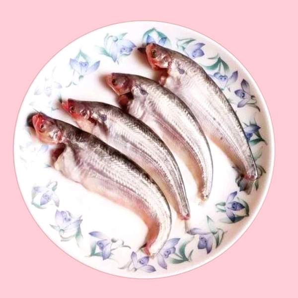 Pavo Fish  - 1kg