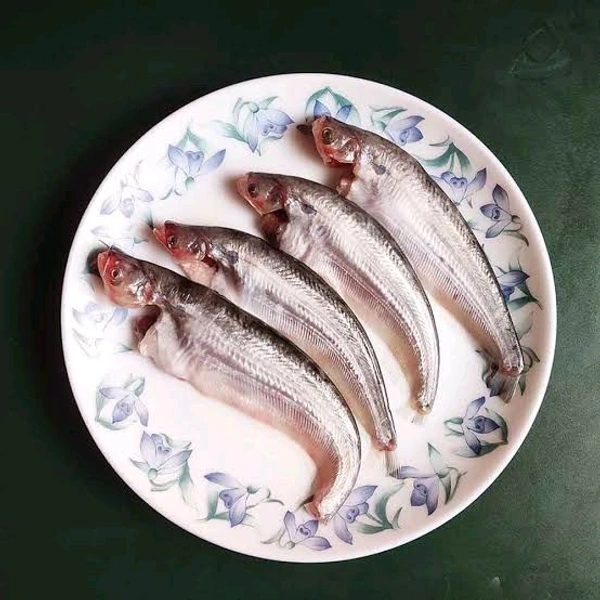 Pavo Fish  - 500gm