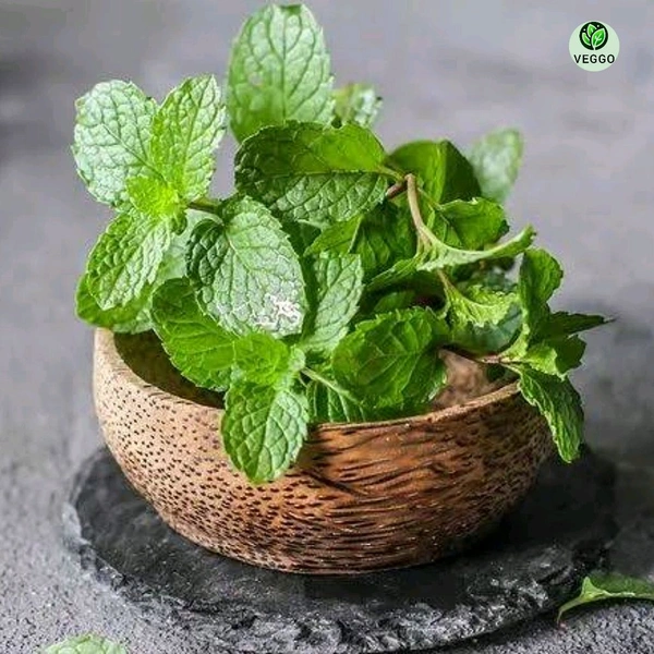 Podina  - 1 Piece