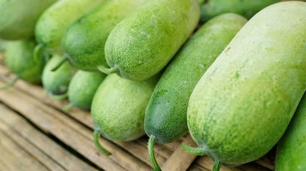 Ash Gourd(Kumura) - 1 Piece