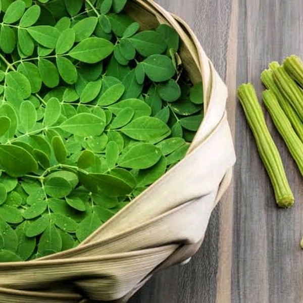 moringa leaves
