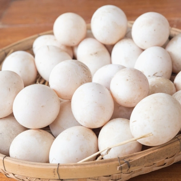 D3 Eggs  - 15 Pic
