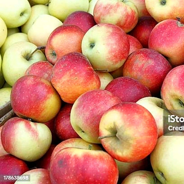 Red Gold Apple  - 1kg